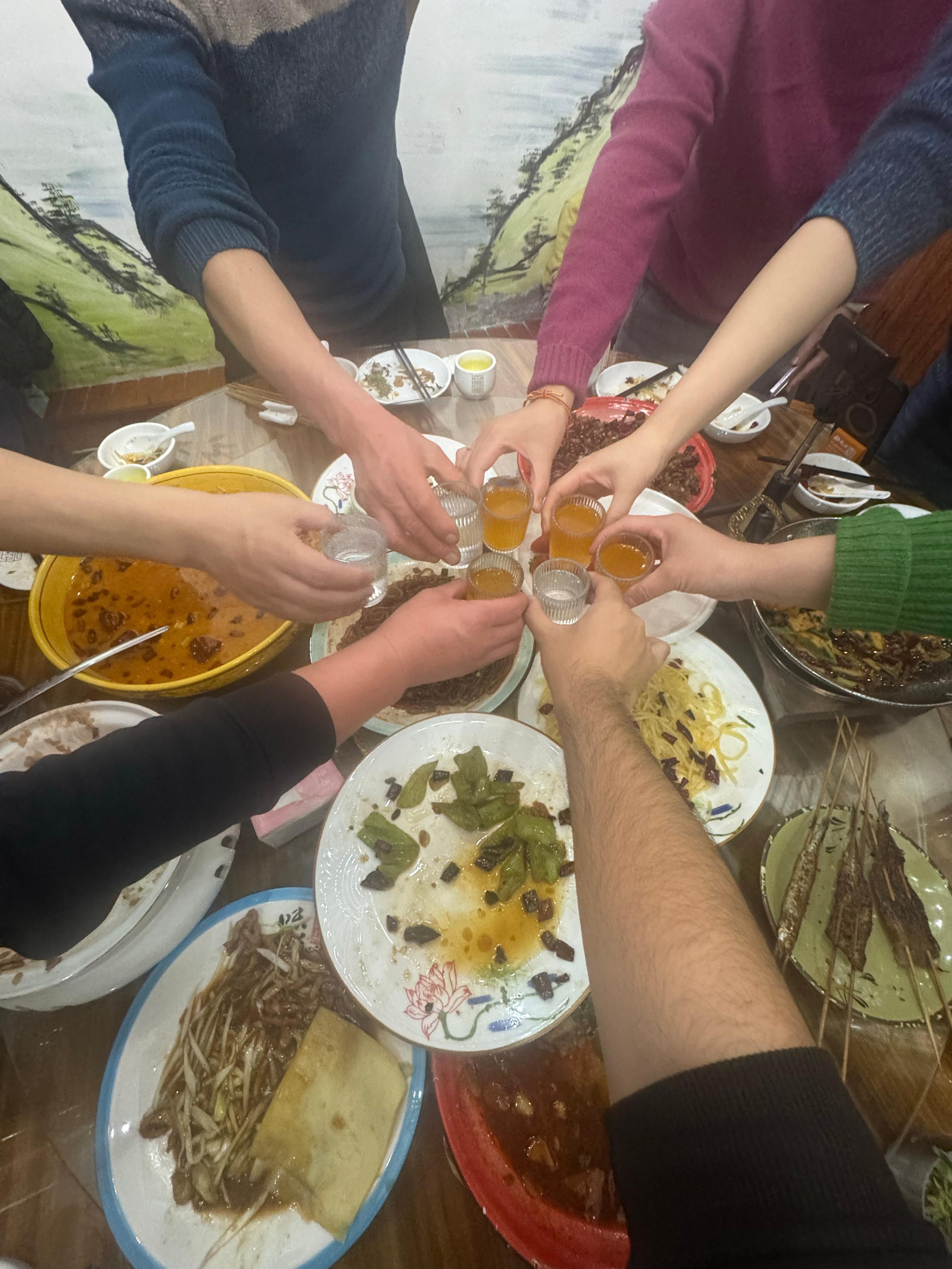 全国初二回娘家的女婿belike什么？你回你媳妇家不知道干啥，就一个任务，喝趴你