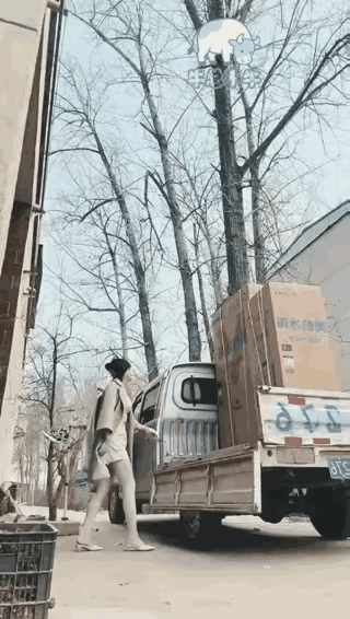 我一直觉得，那个应该是个空箱子。