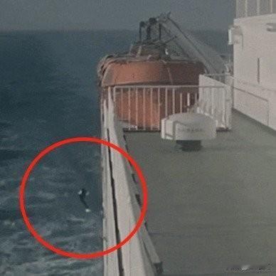 死刑执行！推妻入海骗保男的狠，比海水还凉浪漫客轮之旅变夺命陷阱？那个把妻子