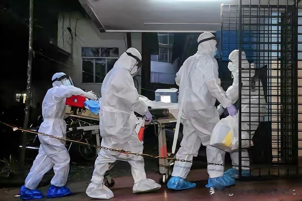 尼帕病毒，不用恐慌。它是蝙蝠上来的，蝙蝠污染果园食物，污染猪群，导致的传播。