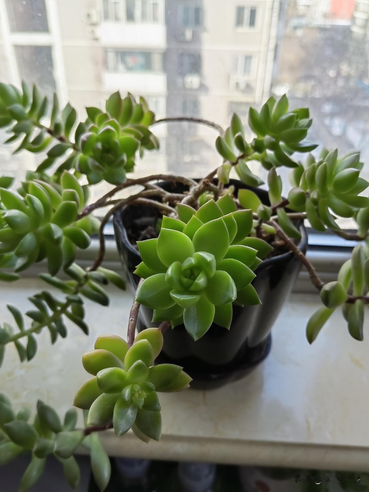 我才40多岁,没到带孙子的年龄,实在理解不了“隔辈亲”是个咋回事。很多老太太