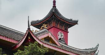 它不是985、不是211，也没入选双一流，但在法学圈子里，“西政军团”的名