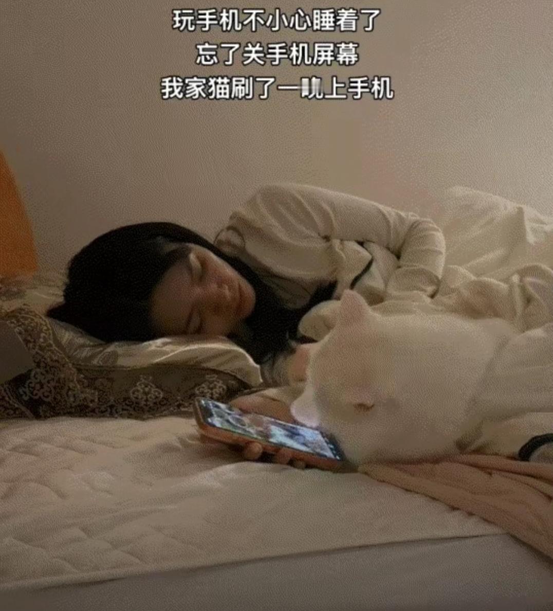 万万没有想到，小猫趁主人睡觉竟深夜手机莫名刷不停，猫爪划出操作痕迹，主人记录惊魂