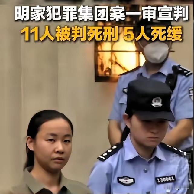 当法槌落下，被告席上那张毫无波澜的脸，与旁听席里颤抖的哭喊形成刺眼对比。这些榨干