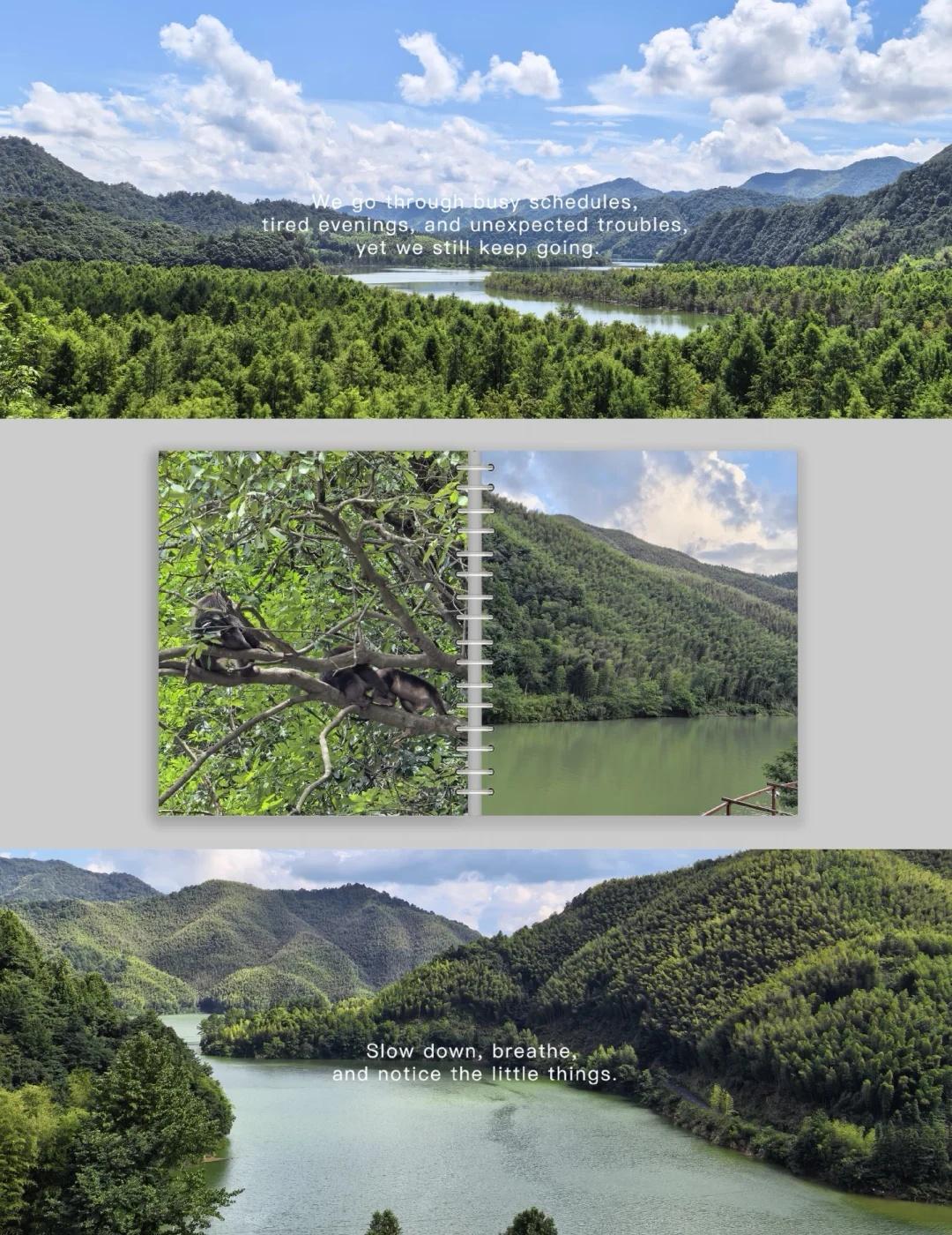 奔赴山野，与清风白云相遇☁️🍃山有清欢，云有闲意，寻一处湖山，安放日常的疲