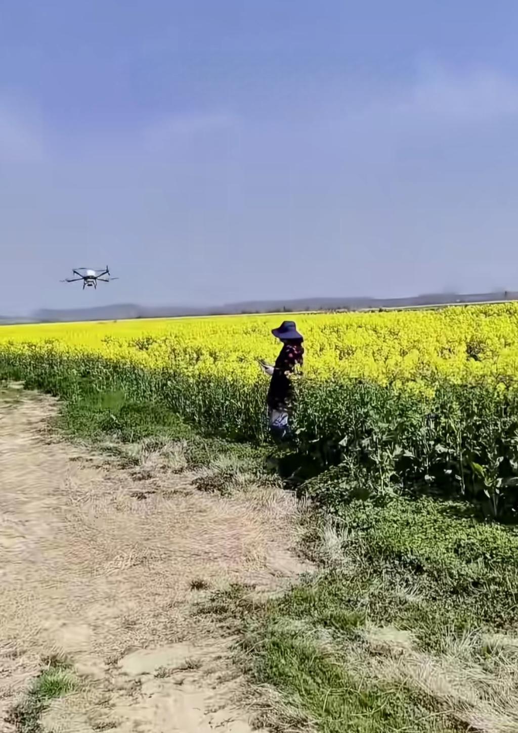 已经看了好几段无人机给油菜花打药的视频，有些蜂农和种植户大声质问这些人，为什么打