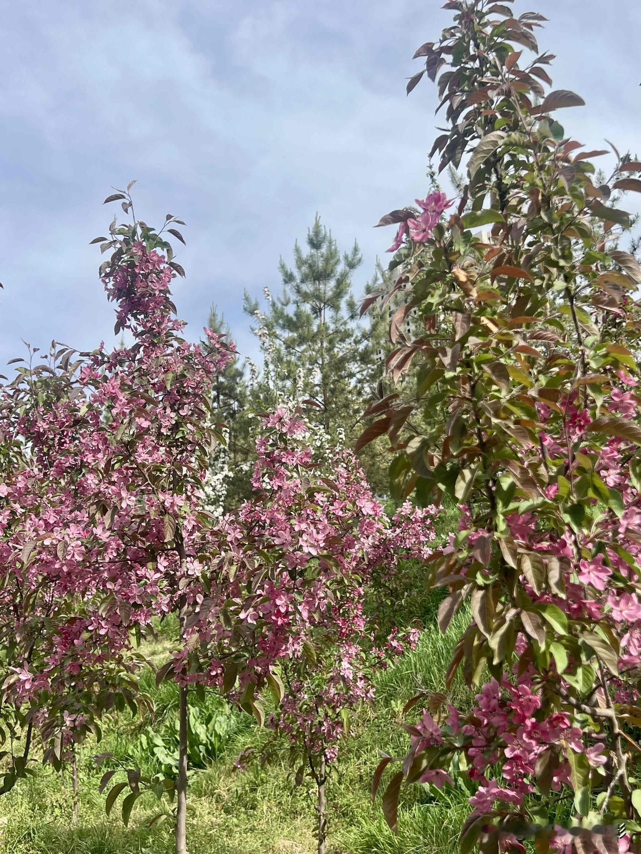 沙尘天气又来了，好了几天的天气又变了！4月18日21时55分，兰州市气象台发