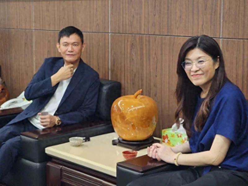 又有大佬相助，郑丽文好消息不断，王金平成为“关键先生”郑丽文最近可真是风头正
