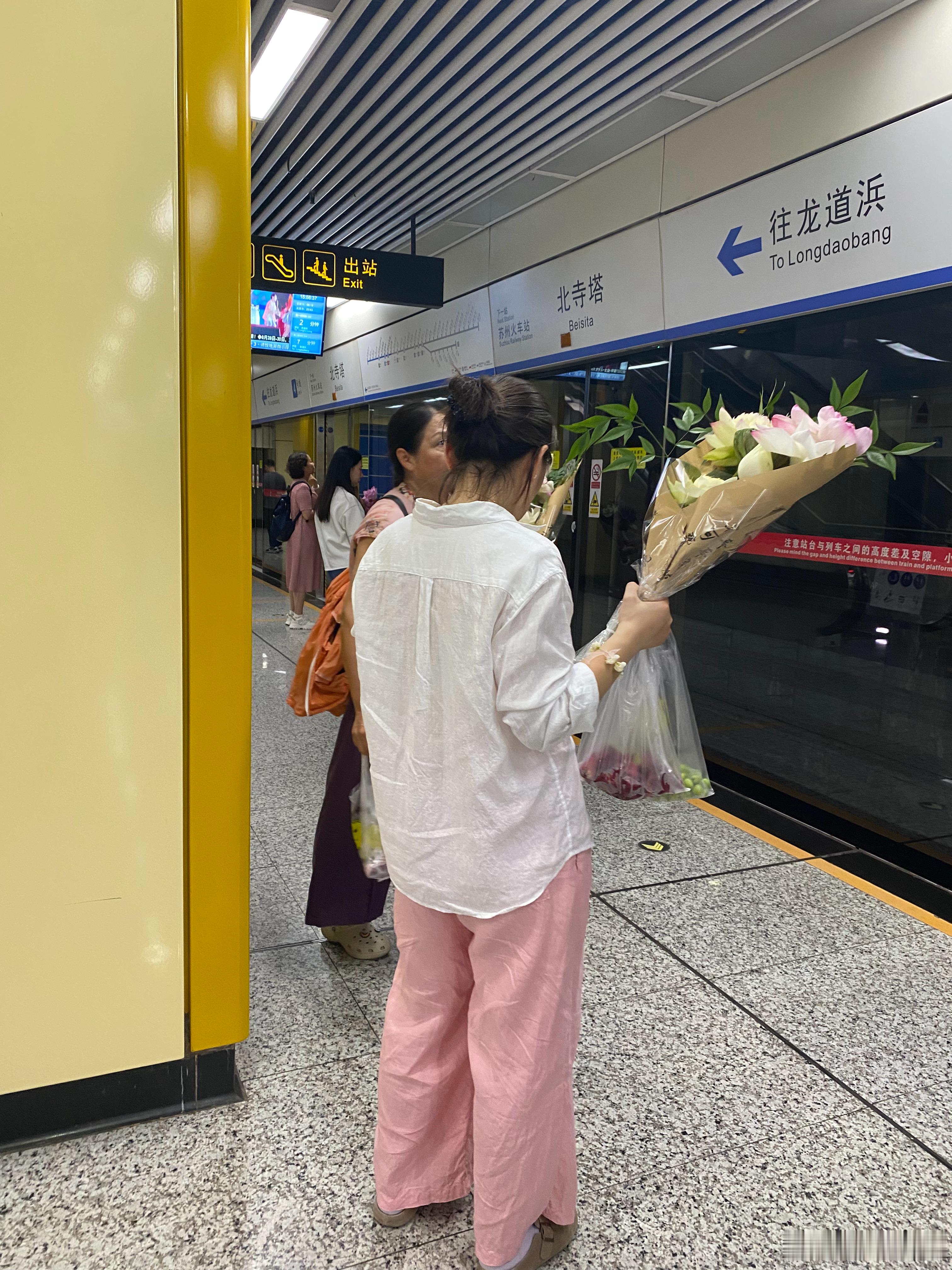 苏州的荷花市集还没有结束，一回苏州就发现地铁里好多人拿着荷花，美不胜收。我爱苏州