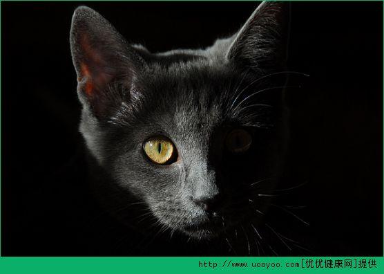 经常熬夜致免疫力低下? 做好这4件事能调理改善