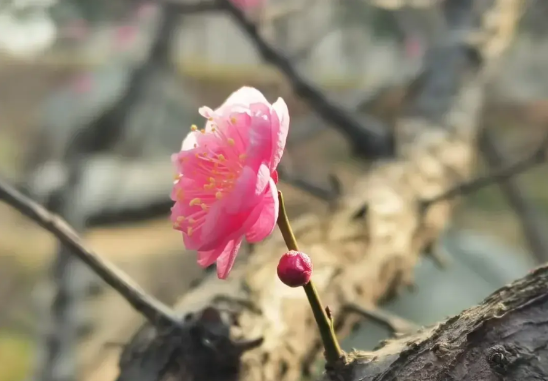 我女儿上大一了，在南京一个很好的大学，学的电子信息专业，昨天晚上和女儿在电话里聊