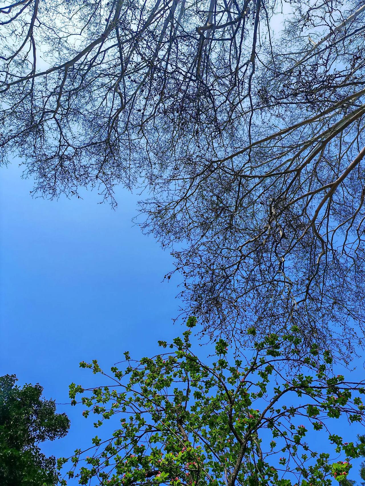 随拍图文热点来了登上山顶看美景随手一拍都是美景大自然的美无处不在