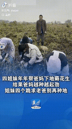 “河南商丘，四姐妹年年帮助父母下地薅花生，本想着自己多干点父母就少干点，没想到父