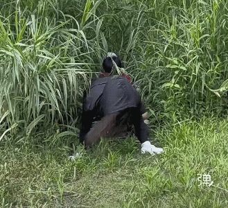 真羡慕你们自由自在，玩得痛快哈，又开心又锻炼到身体了，还逗乐了众人![点赞]