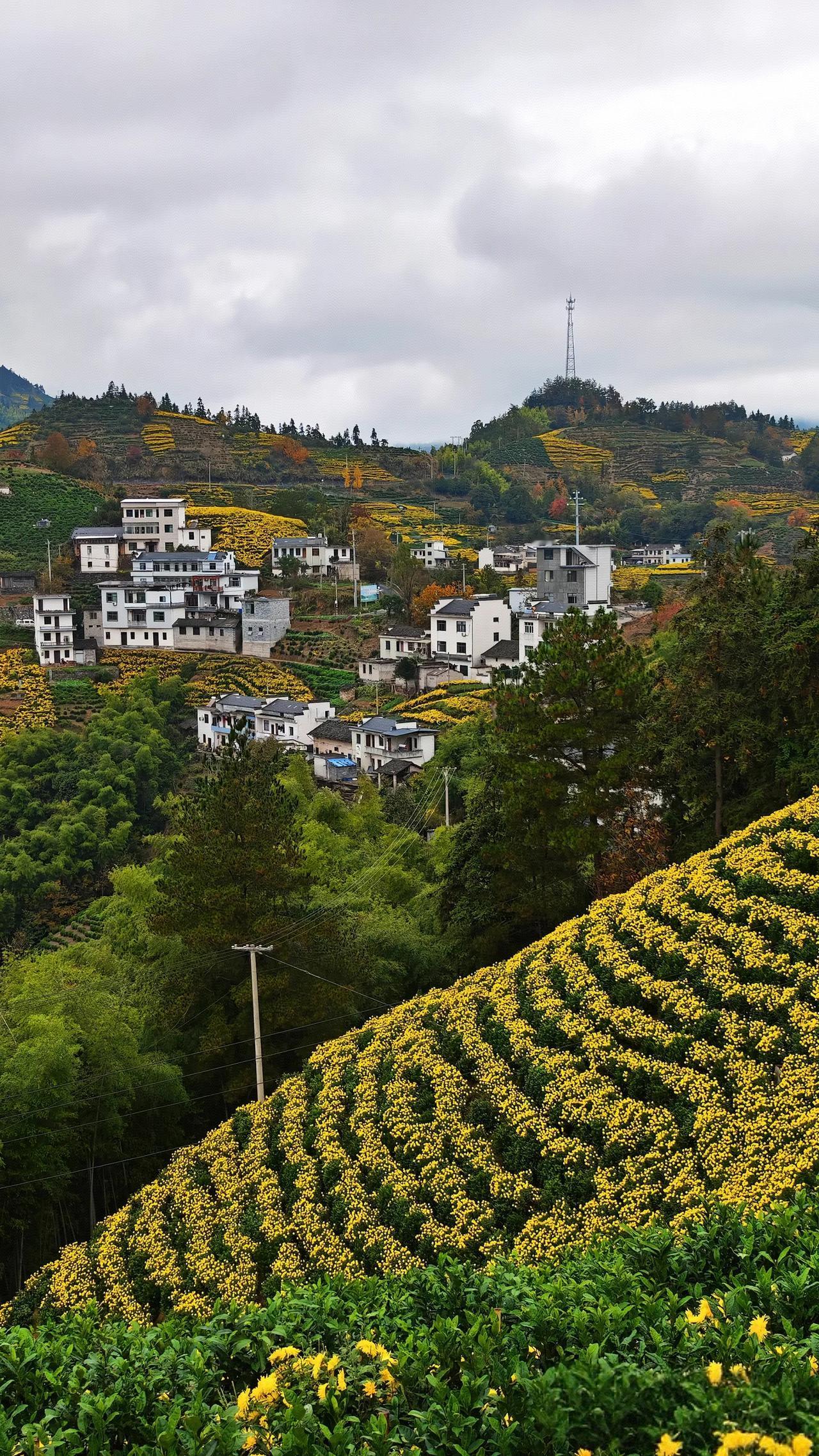 昨天跟一个高二的学生家长聊天，南京的学生家长，家长比较焦虑，为什么比较焦虑呢？因