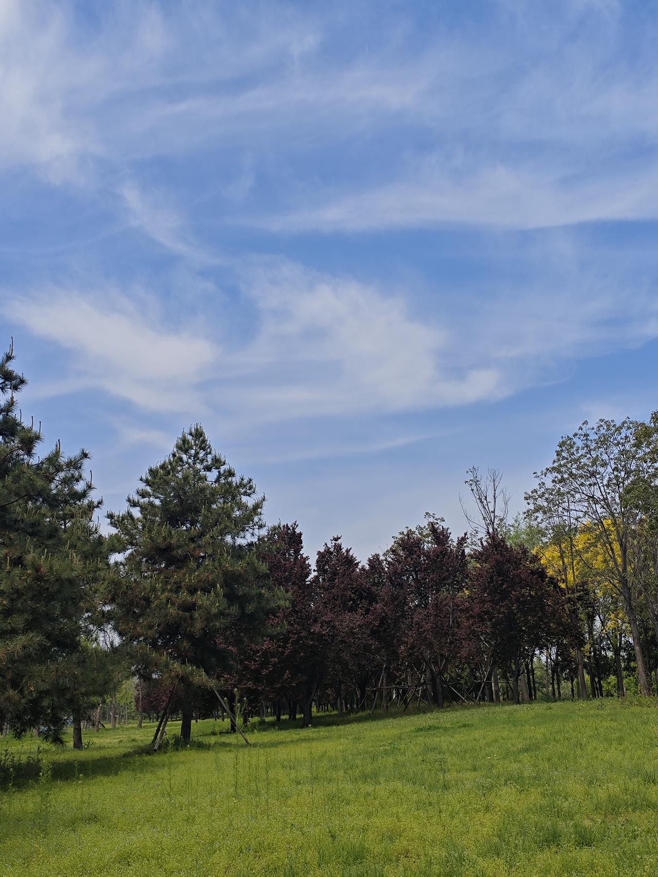 六十岁以后的感悟——六十岁以后的最佳生活状态就是:可以过得无聊，看起来闲、放松