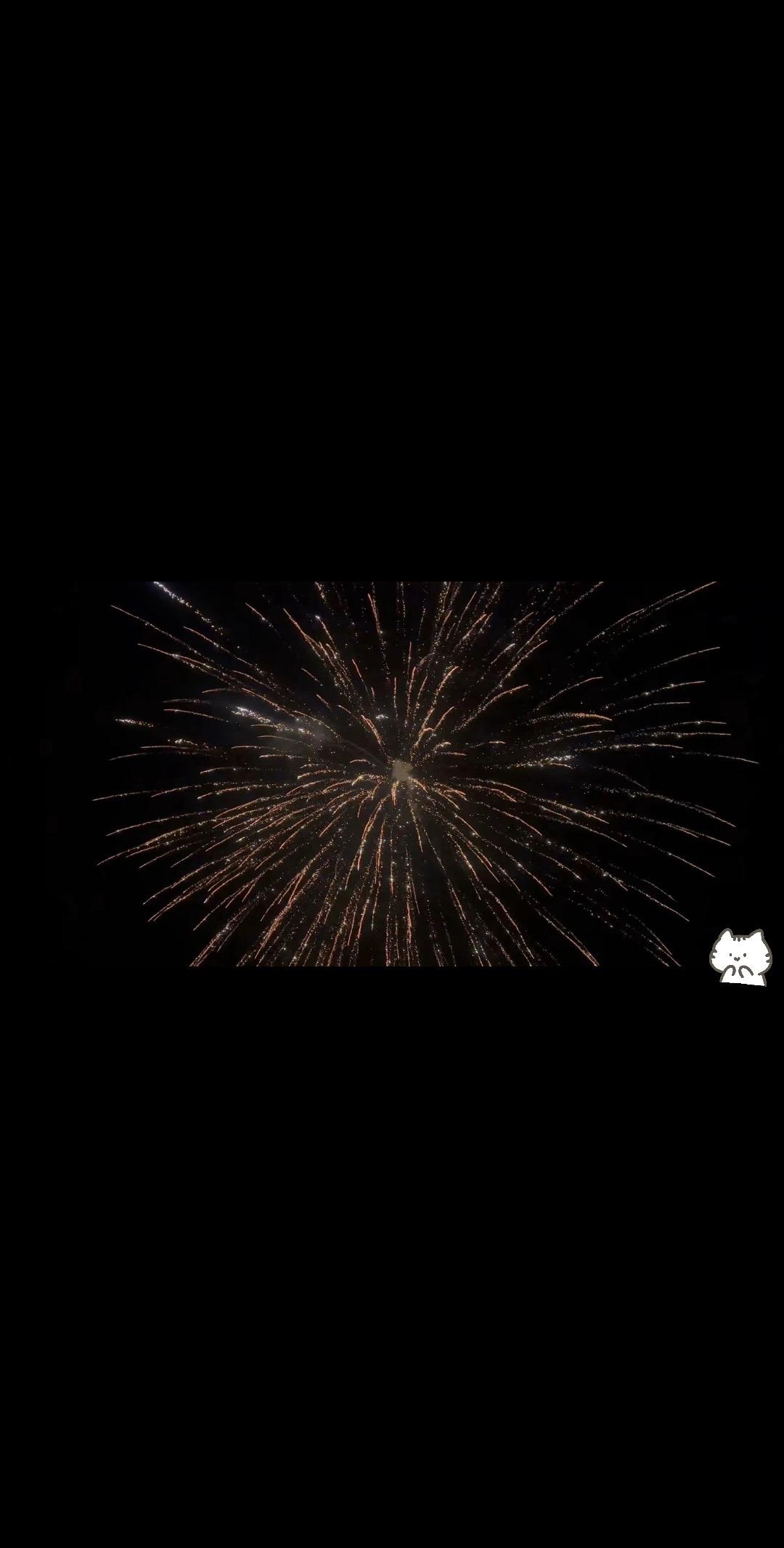 这一年很满，有心知肚明的天意，有明知不可为之的选择，这不是我活的最张扬...