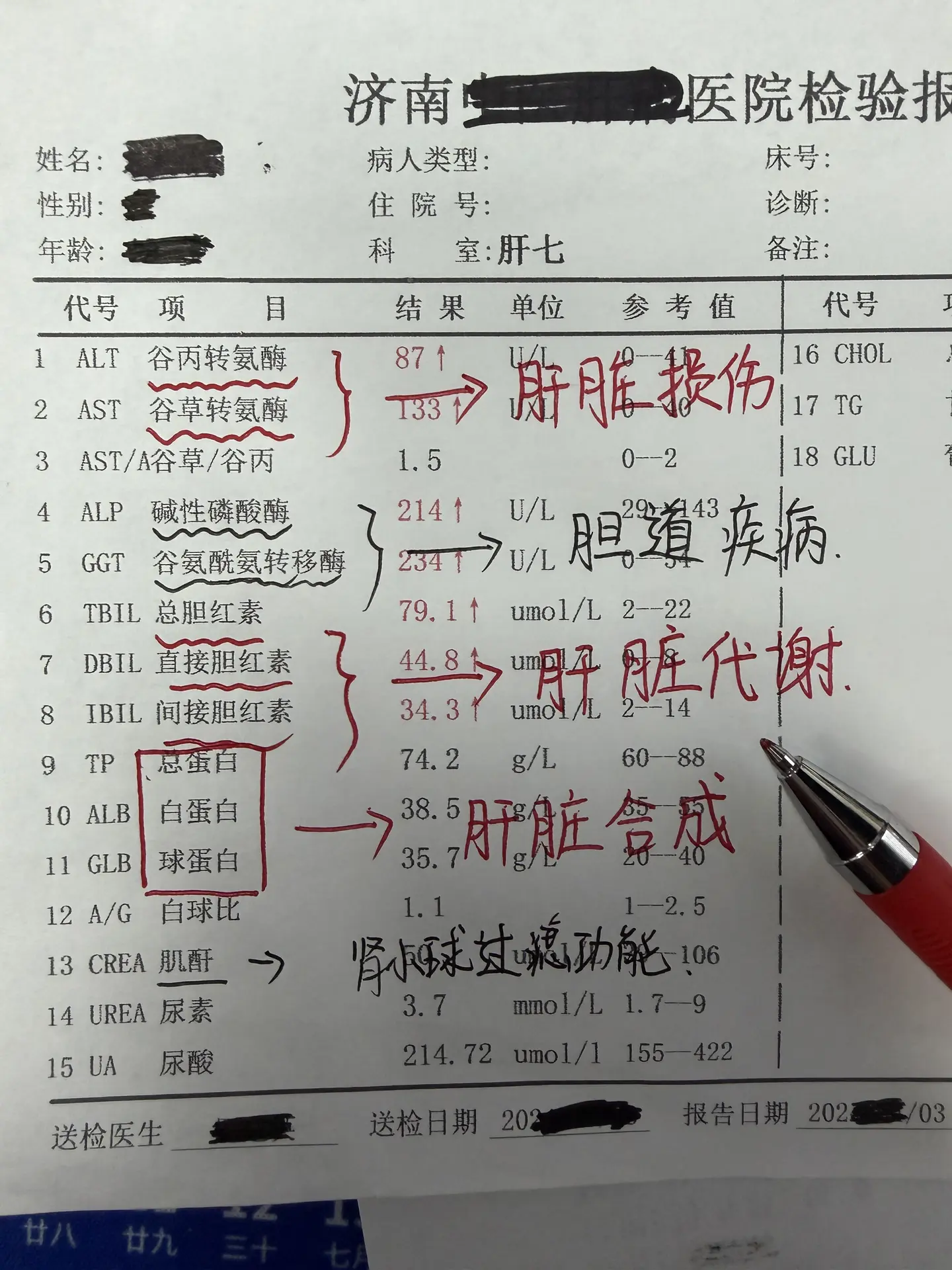 肝功能化验单分析 很多肝病患者看到肝功能一堆指标看不明白，今天就来给大...