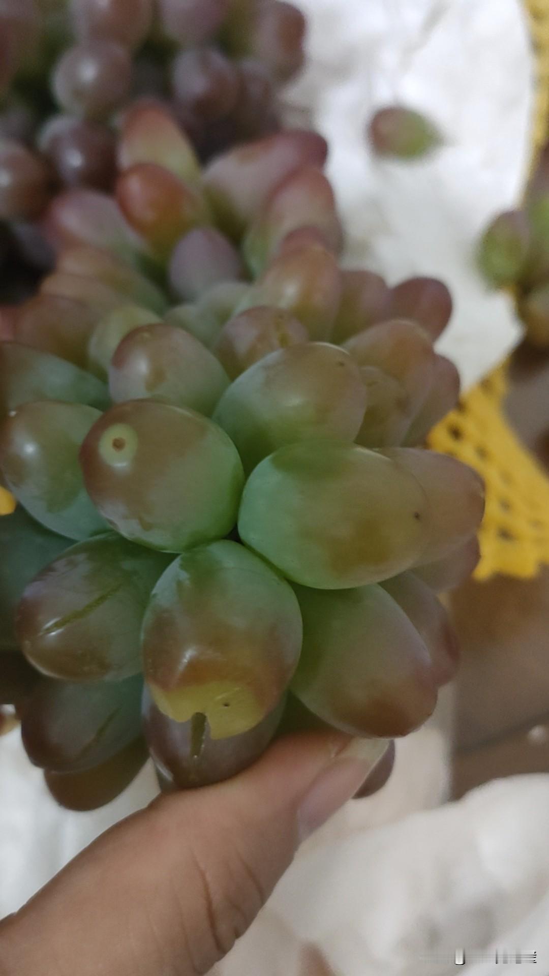 作为一个韩剧狂魔，必须按头安利几部又甜又搞笑的宝藏剧！首推《社内相亲》，女主假扮