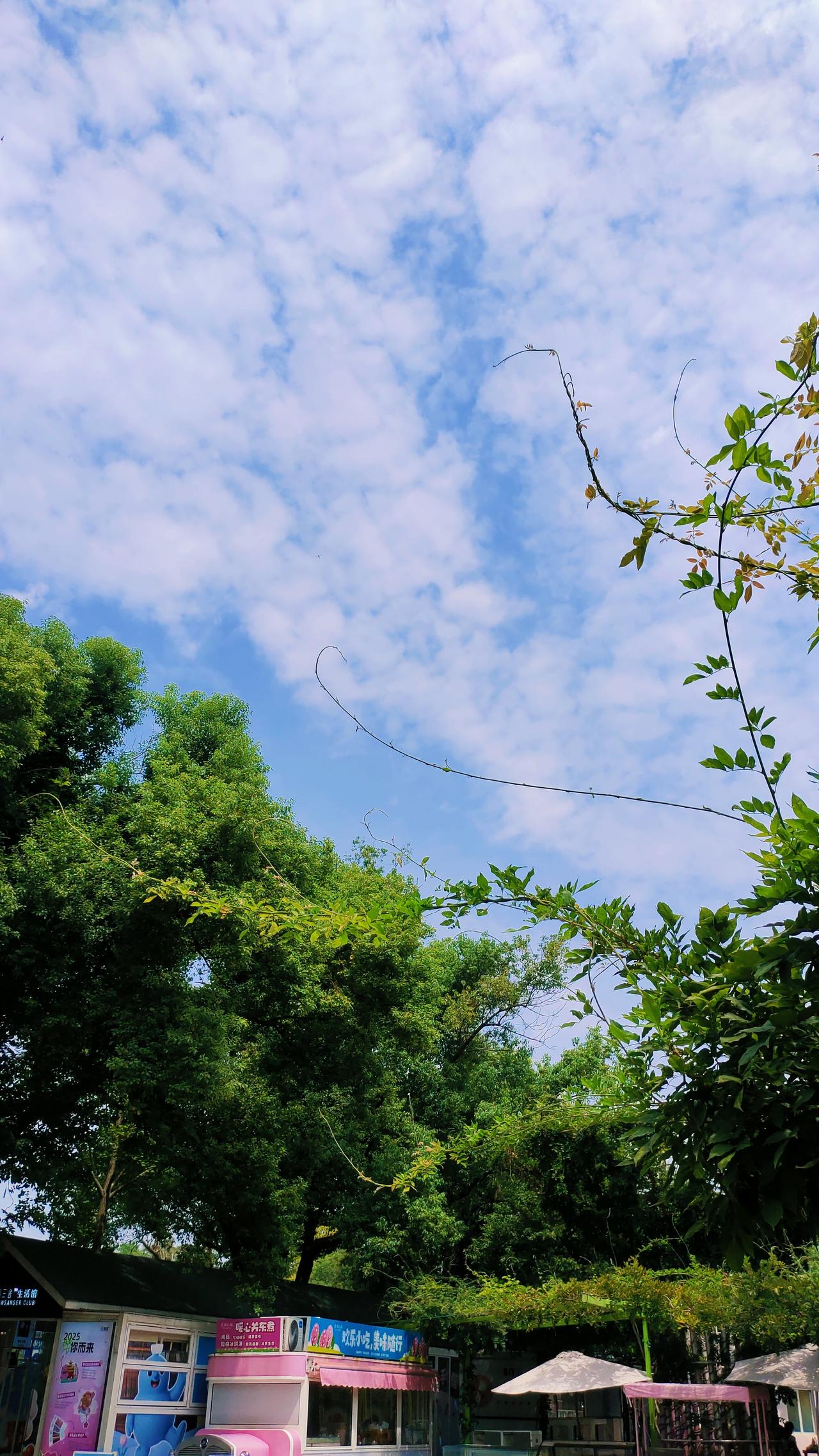 体检时差点丢了性命，需不需每年体检？人到中年了，我还从来没有单独的去医院做过一