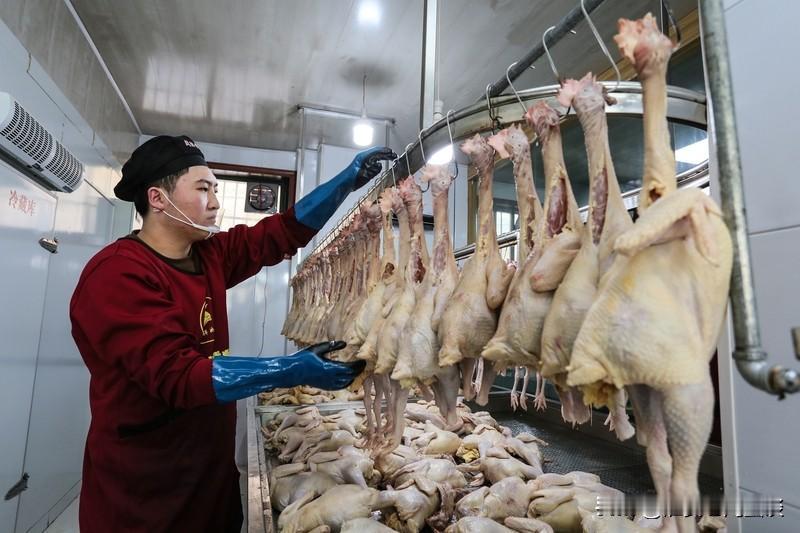 现在的年轻人真是越来越牛了！2024年9月，河南周口沈丘县16岁的张某开了家“0