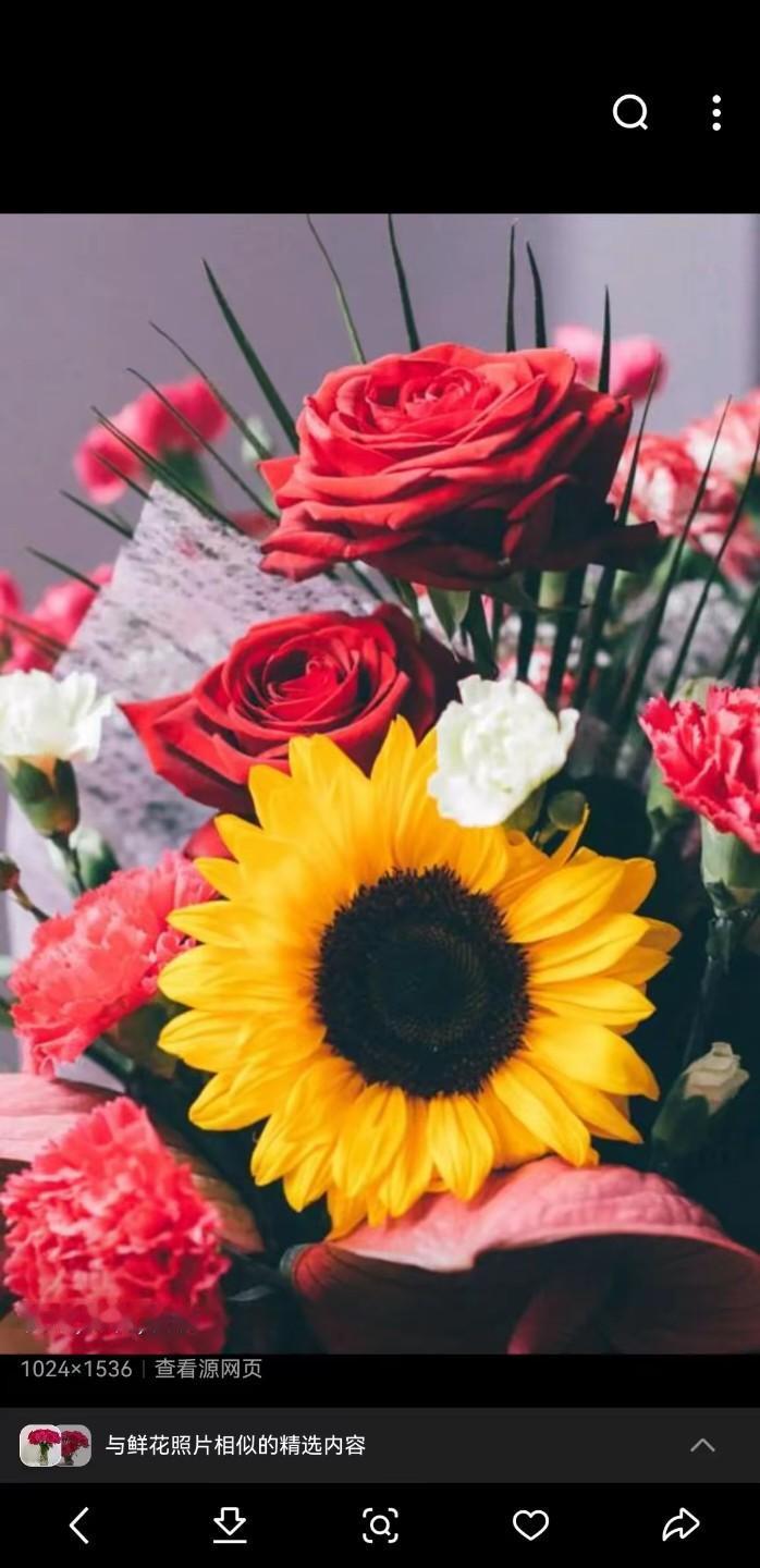 读书好，好读书人言人贵爱读书，不读书人变驴猪！不读书者何愚蠢，贪睡拉磨时