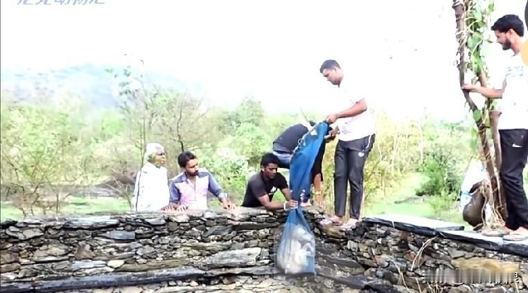 流浪狗在深井边缘徘徊，恰巧被一个无所事事的人瞧见，那人一脚将它踹下。可怜的狗狗在