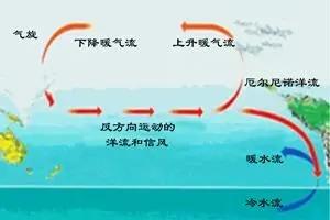 今年会太热的天气，看来是躲不过去了。联合国最新预警：2026年6至8月出现极