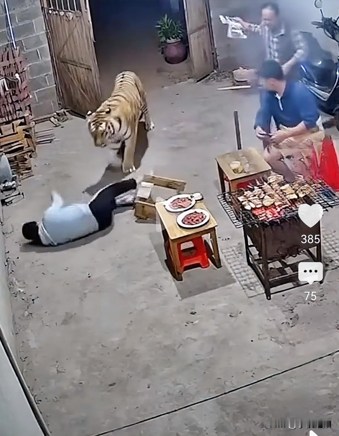 这不是真的吧！一网络视频显示某农村一家人正围坐在自家院里烧烤，突然从门外窜进一只