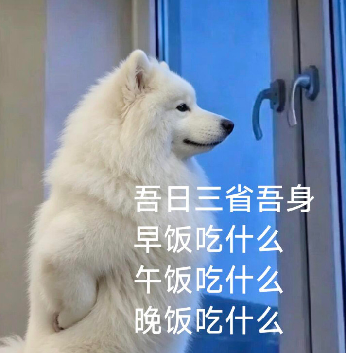 大家六月有遇到什么小可爱吗？