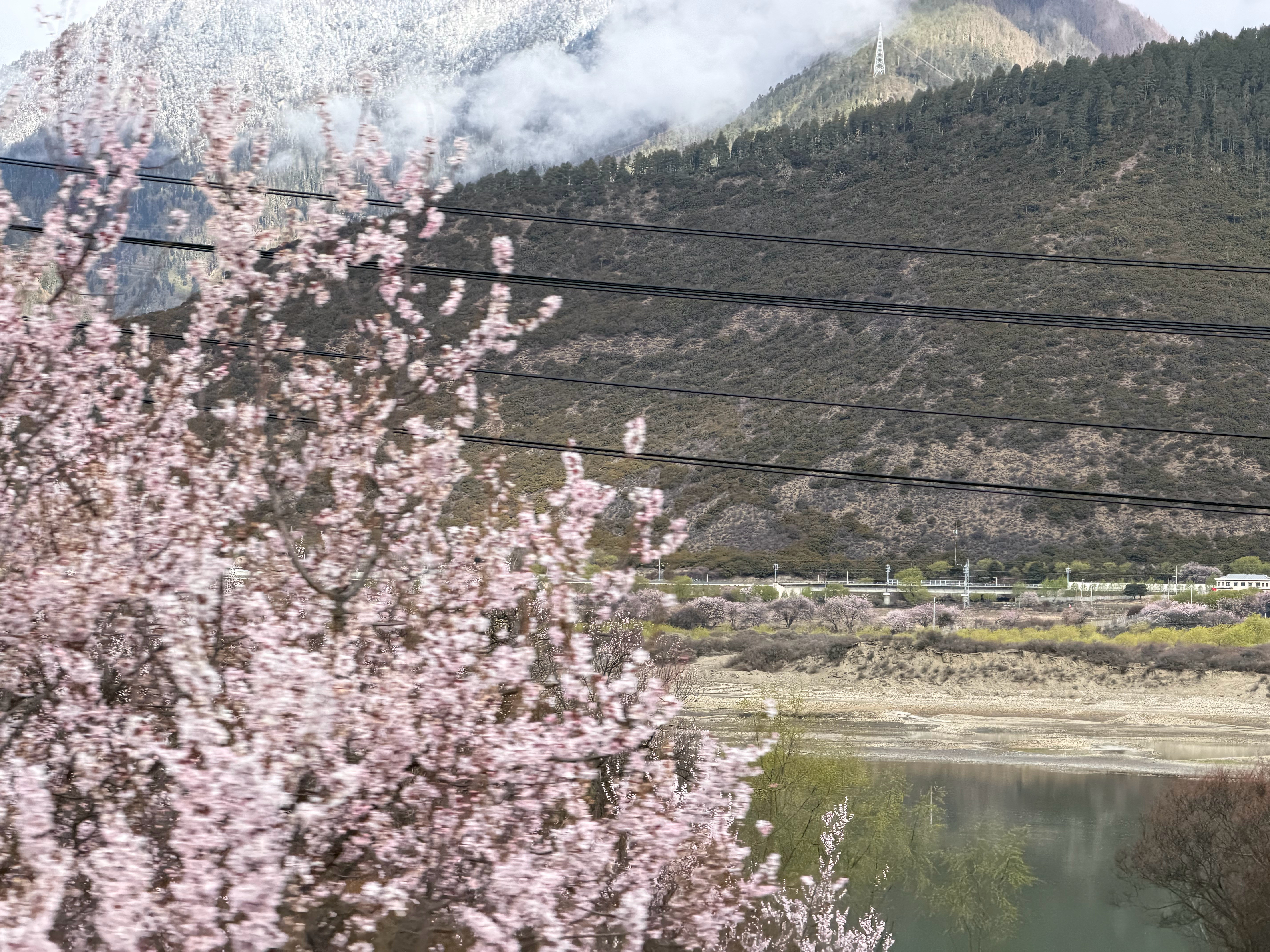 到林芝了，酒店海拔不到3000，小场面点赞里抽图6一套林芝