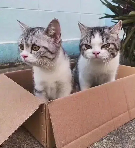 看什么看！这我对象