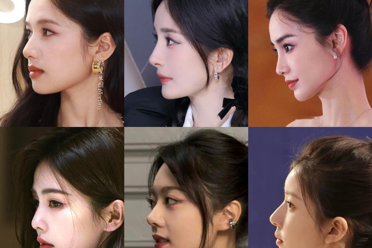 内娱女明星的鼻子，简直是do鼻界的“天花板”。直鼻、驼峰鼻、小翘鼻等各种鼻型应有