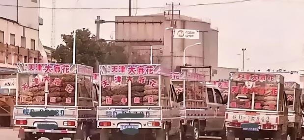 2000年，神秘组织“天津大麻花”，明明没人买却走遍全国，如今才彻底明白，里面竟