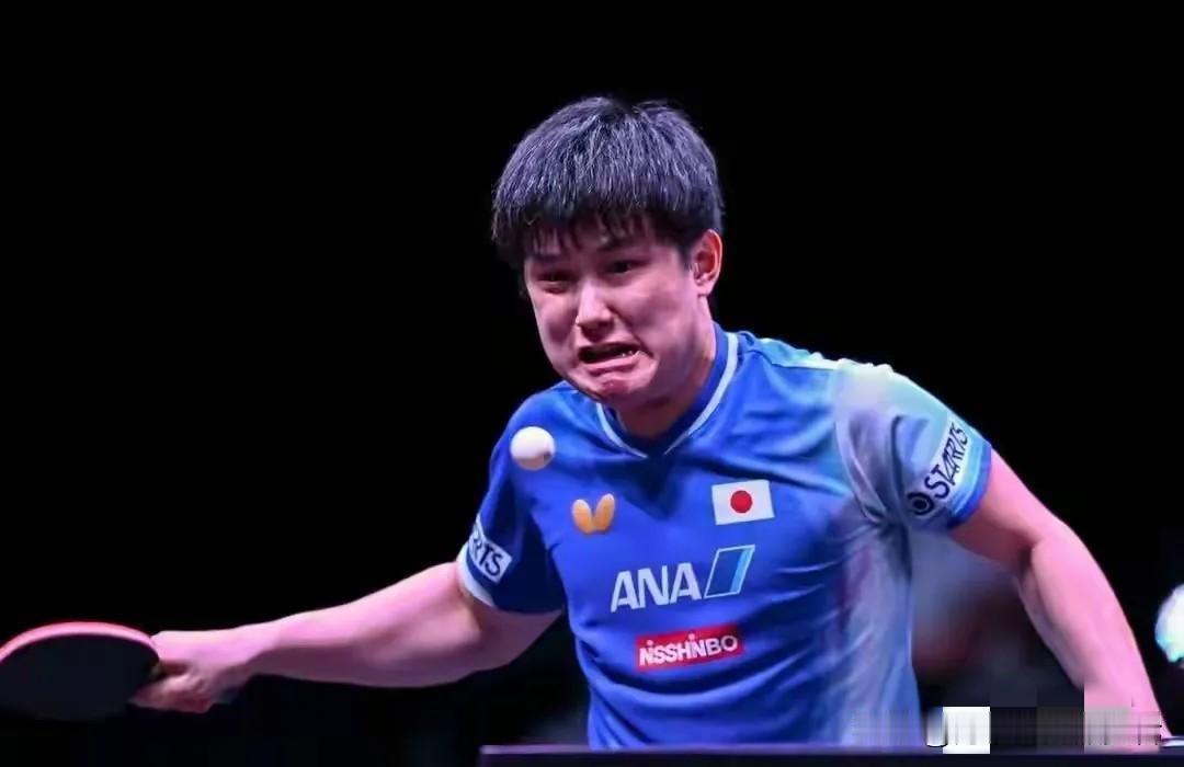 张本智和蛮可怜的世界上大概没有一个乒乓球选手比张本智和更可怜的了，因为他输了球