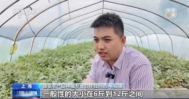 你知道中国各色水果的产地及产量吗？中国14亿人每年消费水果数千万吨，各地为这些品