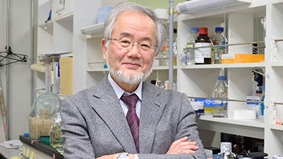 日本科学家大隅良典有个惊人发现，人饿肚子的时候，细胞会自己"吃掉"坏掉的部分
