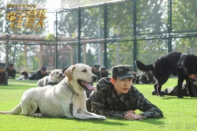 听听温特怎么说听听温特怎么说成毅新片定档春节档这片子本来是2018年春节档要上映