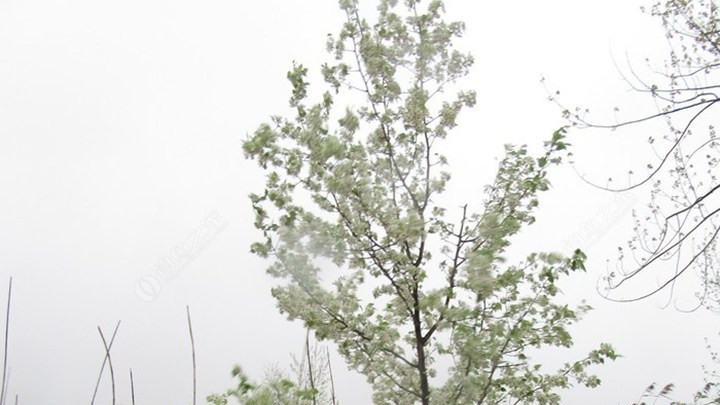 边境哨所戍边菜园, 极端环境种植纪实, 水花生战备储存方案, 军用冷藏方舱