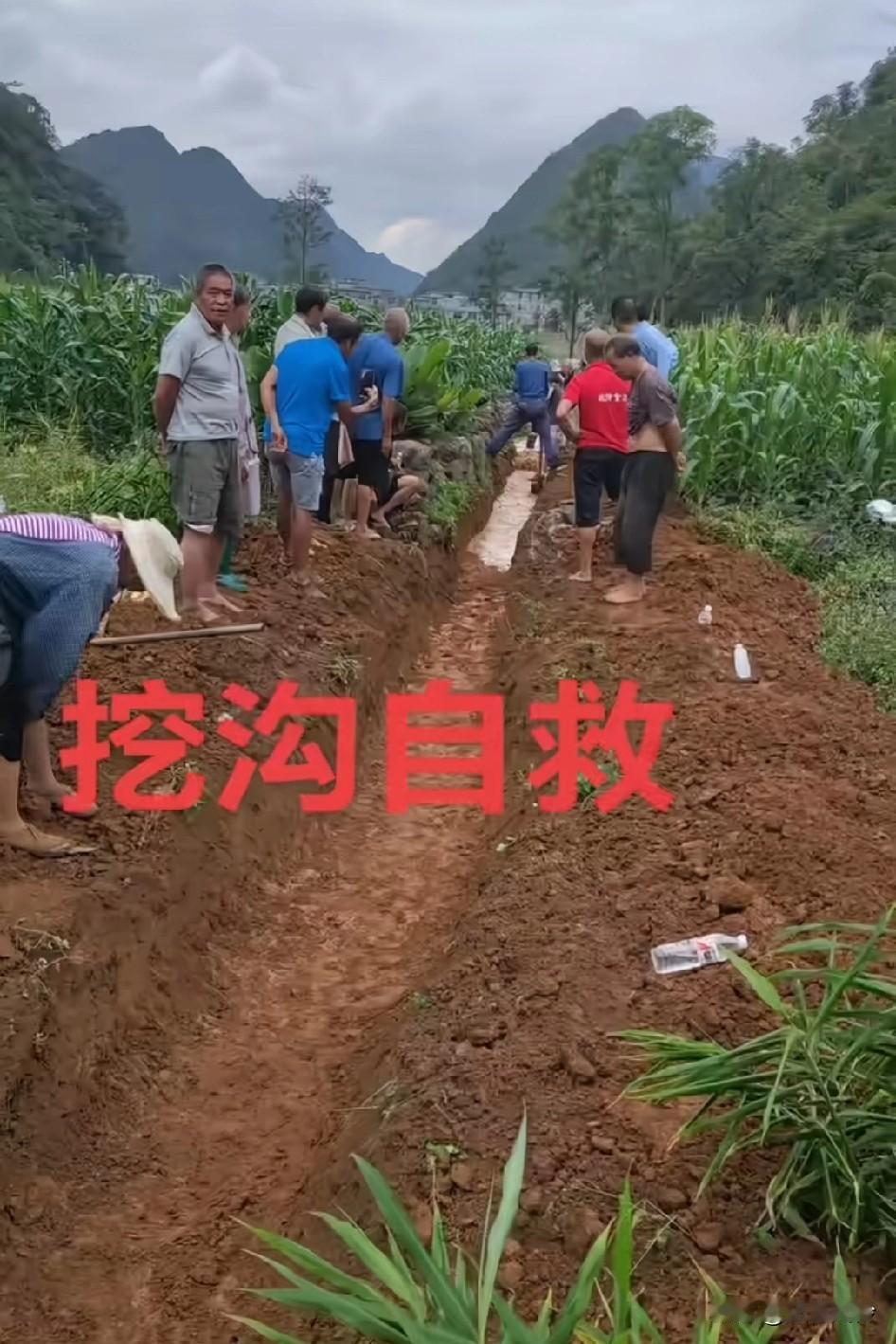 还得是劳动人民的智慧，挖沟排水进行自救淹过一次各地就应修明渠！终于看到有人挖排