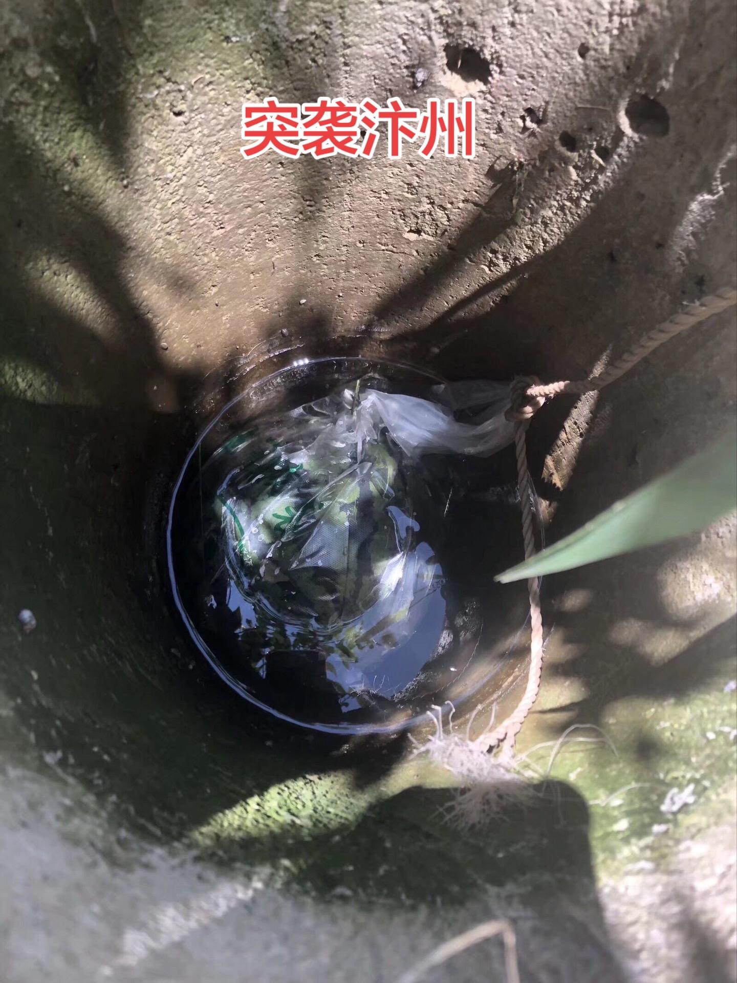 李存勖孤军突袭汴州，后梁灭亡 五代时期，后梁与后唐争霸数年。后期双方陷...