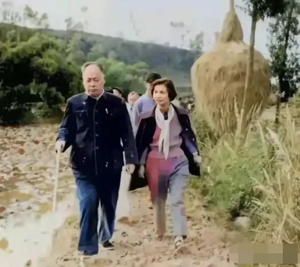 少小离家老大回，乡音无改鬓毛衰。1959年陈毅元帅携夫人张茜回到四川乐至老家探亲