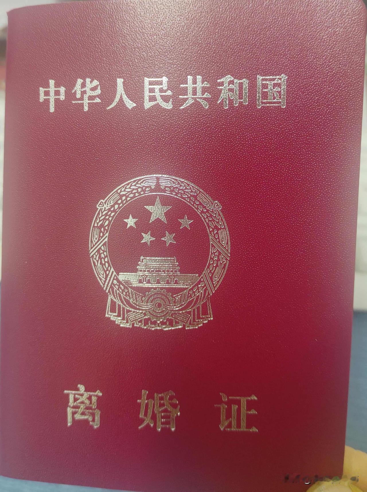 我离婚了，得到了一屁股债我离婚了，儿子女儿都归我，房子车子是我婚前买的，自己还