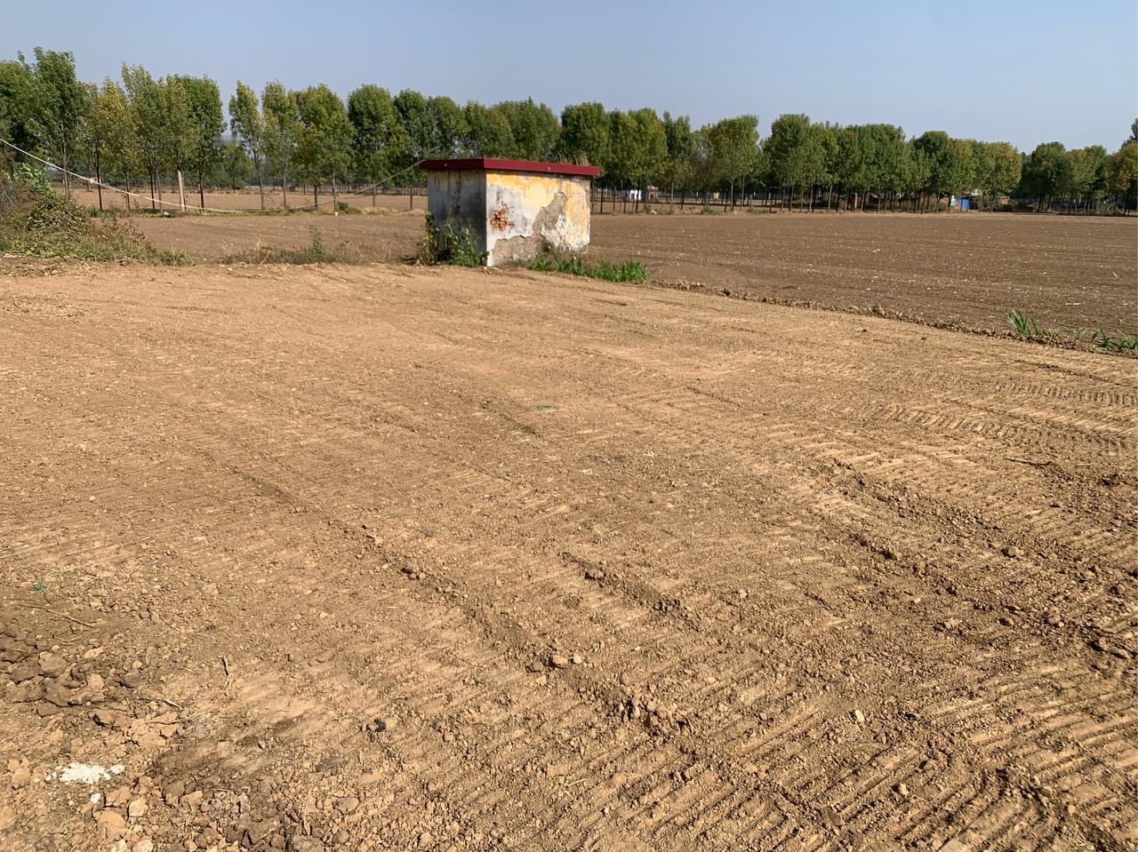 “现世报来的太快了！”河北，一76岁大爷27年前出去打工，把1200平土地，借给