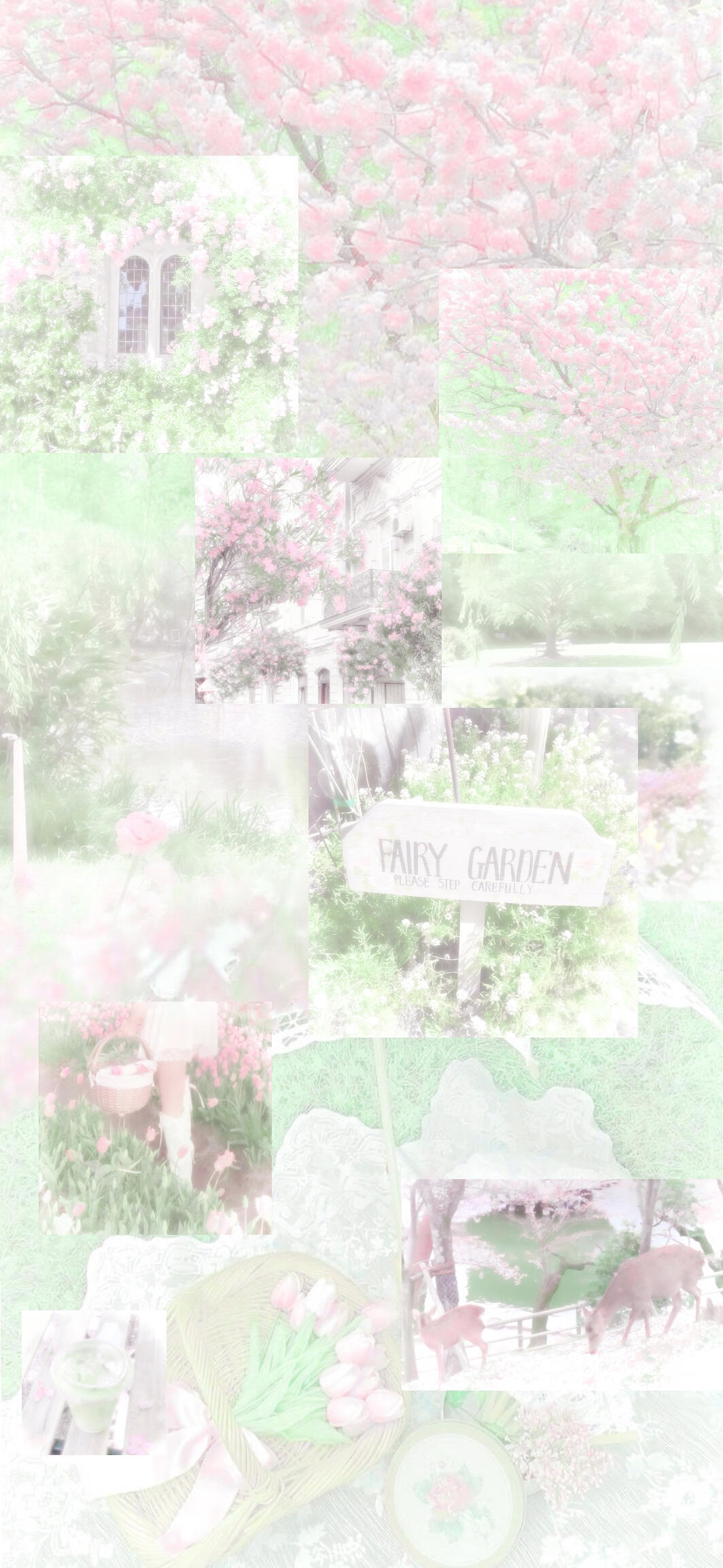清新粉绿色壁纸💕💚˚.⊹ꔫ私の恋のレシピ.⊹₊˚