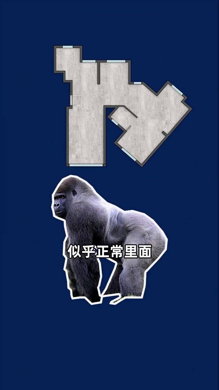 大猩猩户型暴力大改造，强迫症慎看。这次改造的这个户型应该算正常的了，但是似乎正
