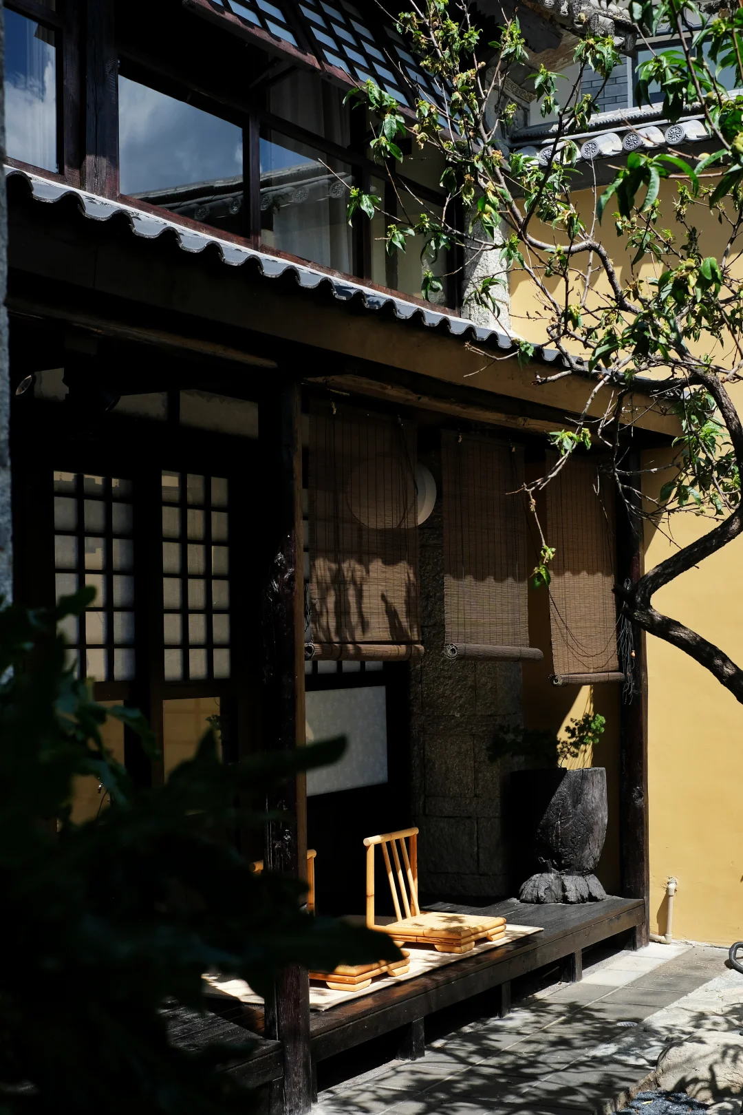 在大理住进一座绿意小院，把日子过慢一点