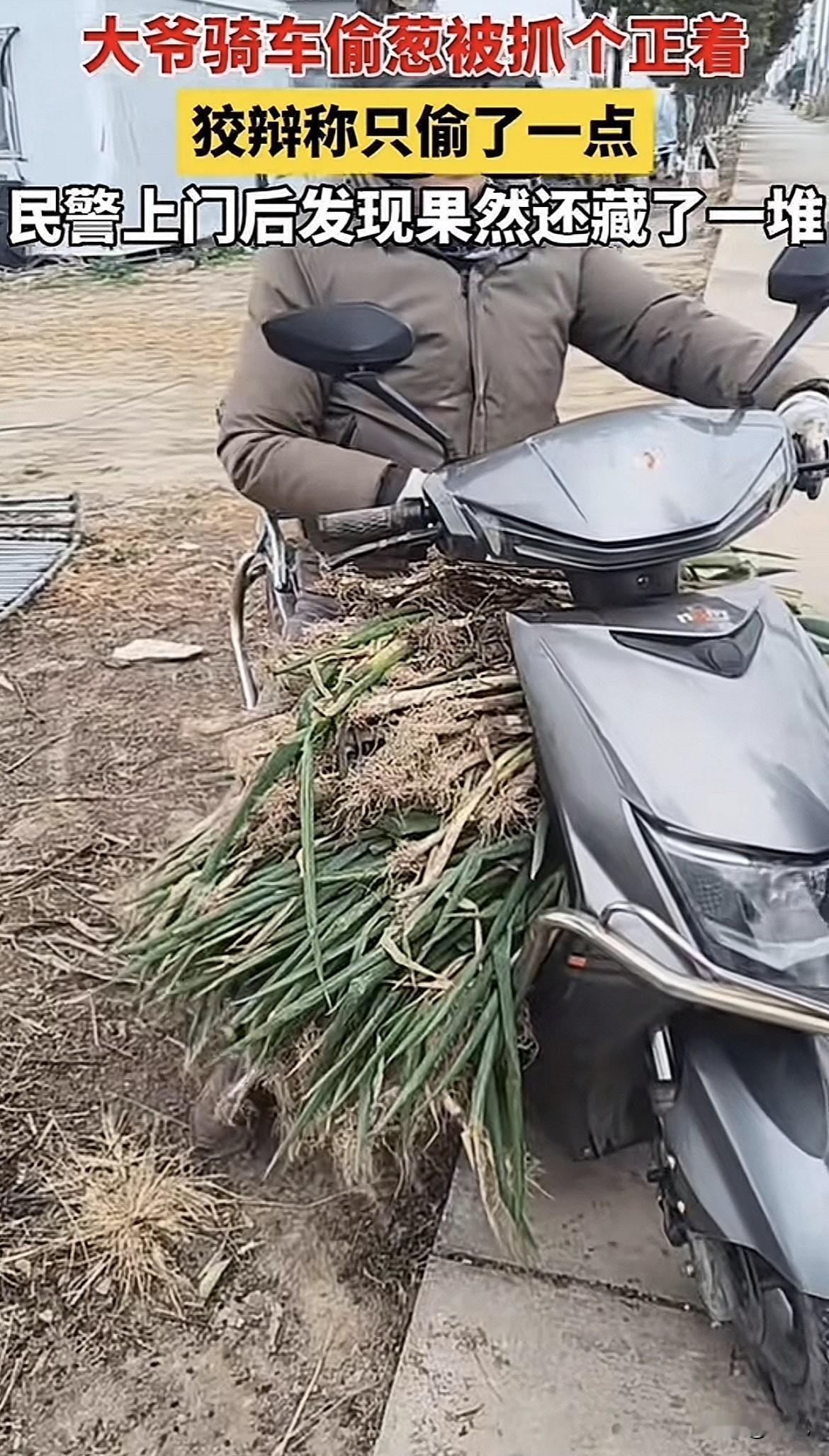 一亩葱地，眼看就要被薅秃了，地的主人看着那些剩下的、稀稀拉拉的葱苗，知道那个贼一