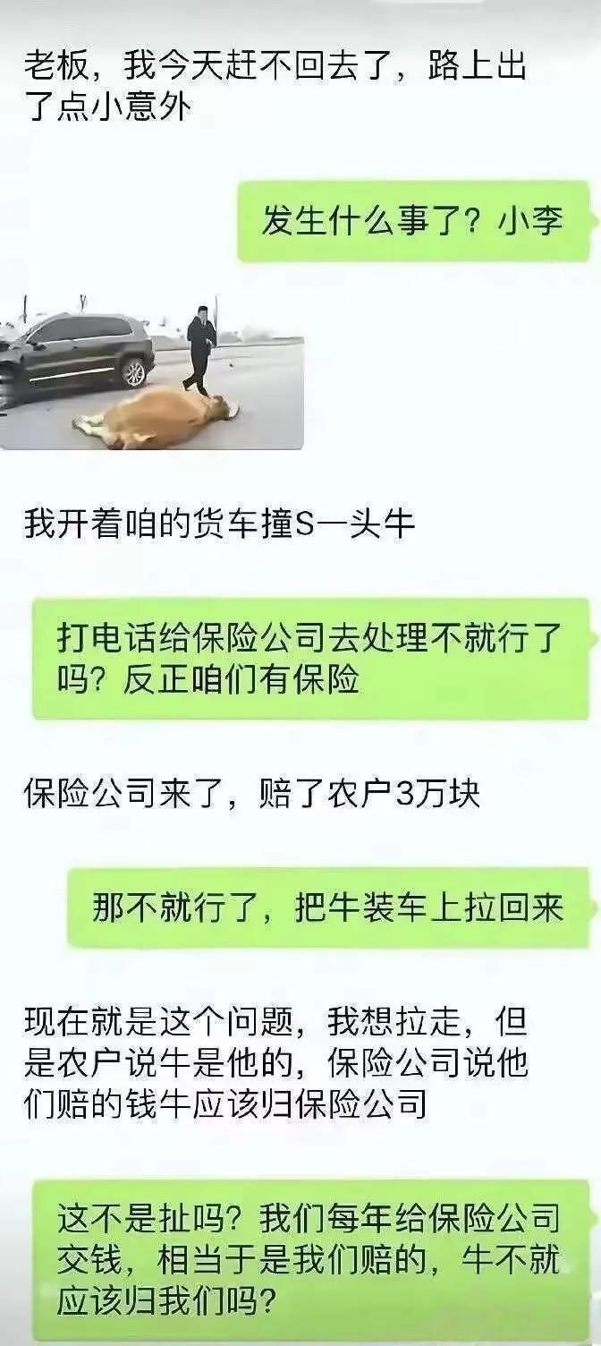 不懂这头牛是保险公司的，还是车主的，还是农户的？