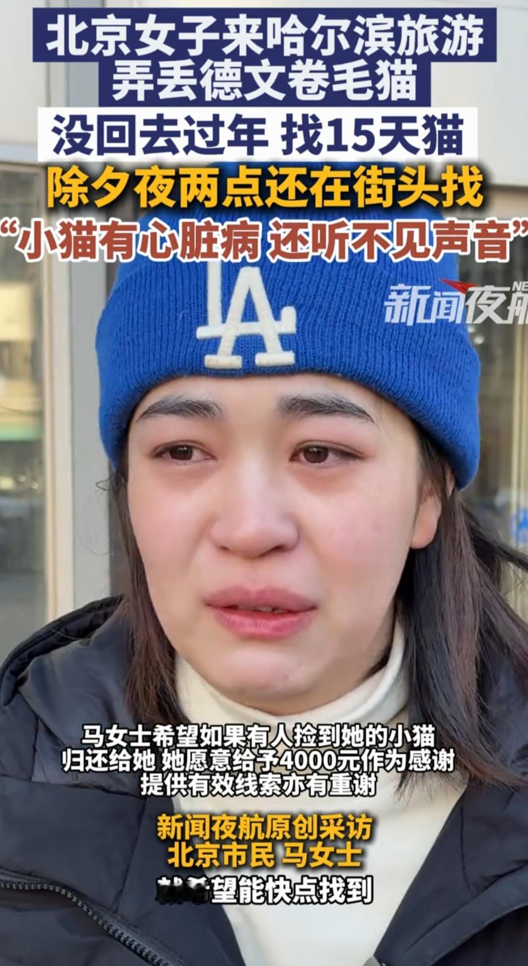 泪目！女子旅游弄丢猫，滞留15天不回家过年：它是家人，我不能丢下它春节，本